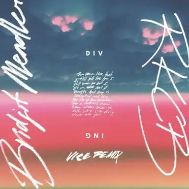 Diving (Vice remix)