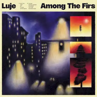Among The Firs