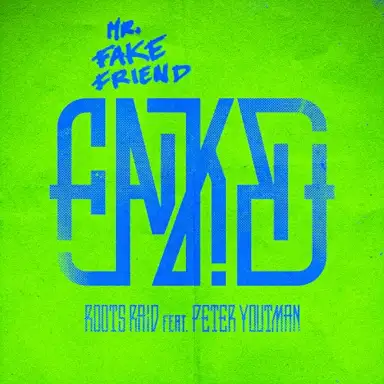 Mr. Fake Friend