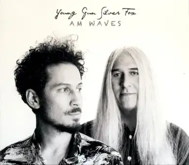 AM Waves
