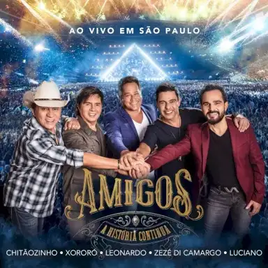 Amigos: A história continua