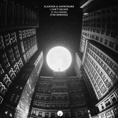 I Can't Escape (the remixes)