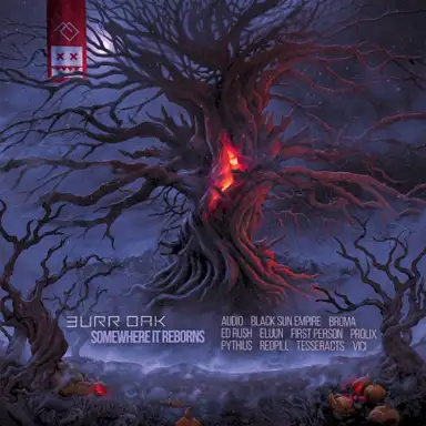 Twain Wolves (Black Sun Empire remix)