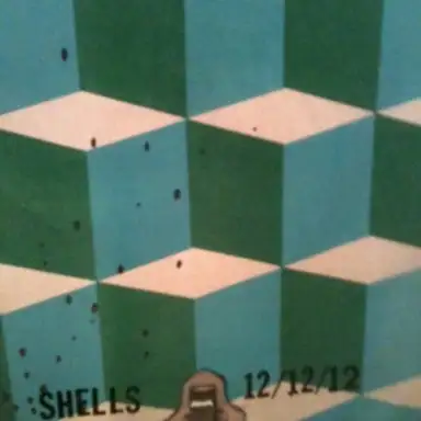 Shells 12/12/12