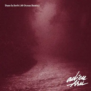 Dans la forêt (48 Ocean Remix)