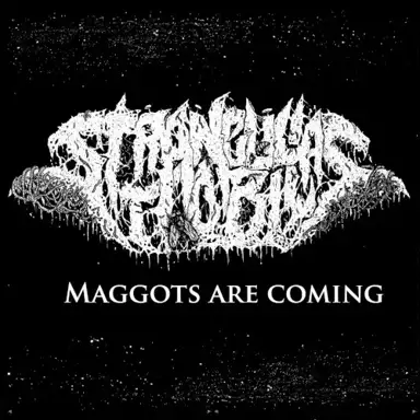 Maggots Are Coming