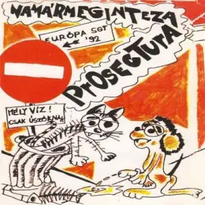 Namármegintezaprosectura