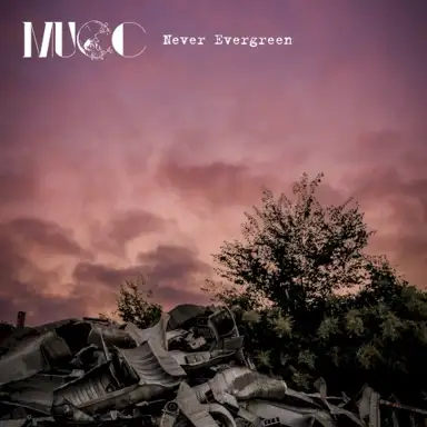 Never Evergreen