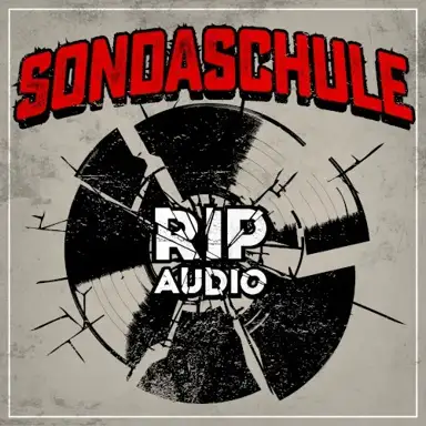 RIP Audio (akustik version)