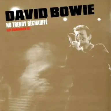 No Trendy Réchauffé (live Birmingham 95)