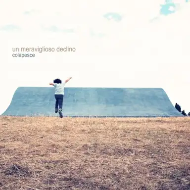 Un meraviglioso declino