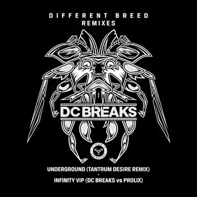 Infinity VIP / Underground (Tantrum Desire remix)