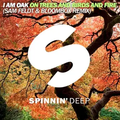 On Trees and Birds and Fire (Sam Feldt & Bloombox remix)