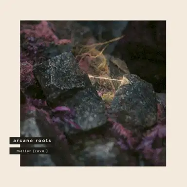 Matter (Revel)