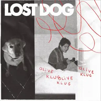 Lost Dog