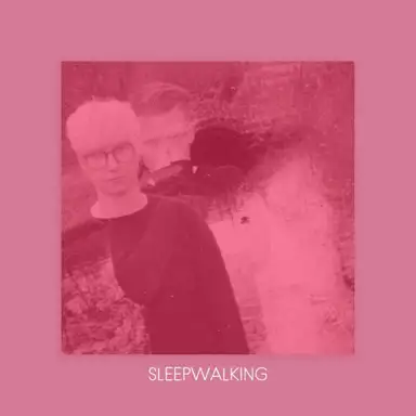 Sleepwalking