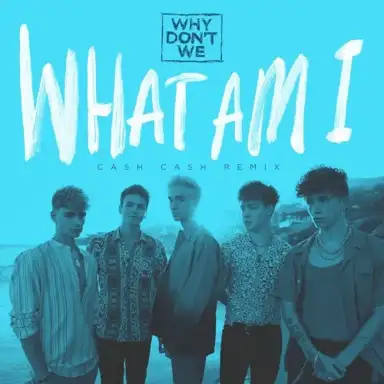 What Am I (Cash Cash remix)