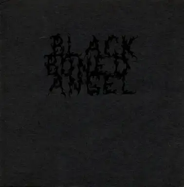 Bliss and Void Inseparable