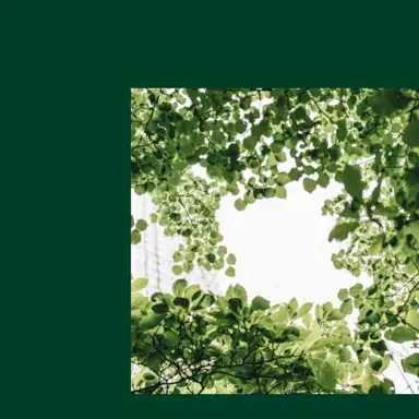 All I Can Say / Sunlight