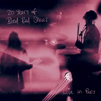 20 Years of Blood Red Shoes: Live in Paris