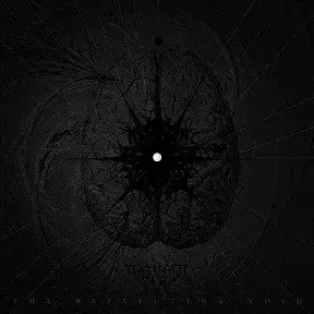 The Reflecting Void