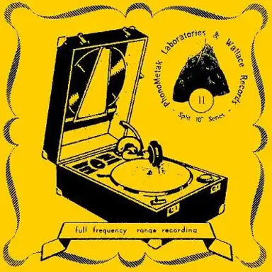 PhonoMetak Series # 2