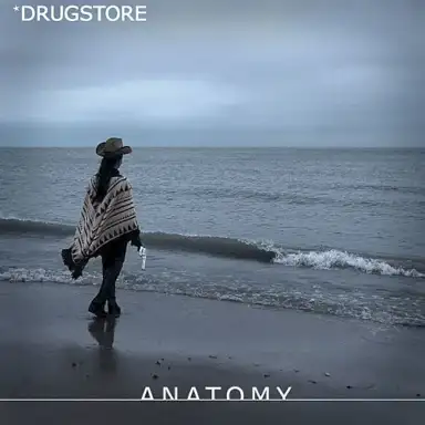 Anatomy