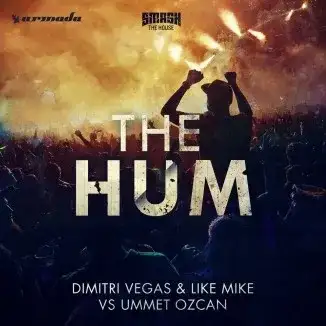 The Hum (Lost Frequencies remix)