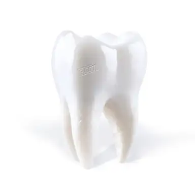 Teething
