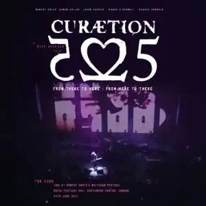 Disintegration (live)