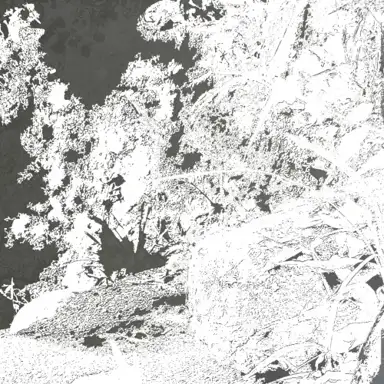 Birth