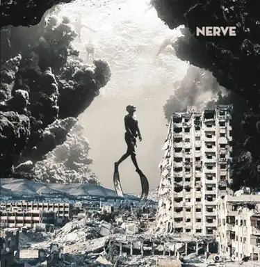 Nerve