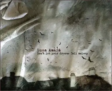 Don't Let Your Dreams Fall Asleep