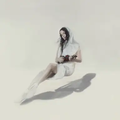 The Writer