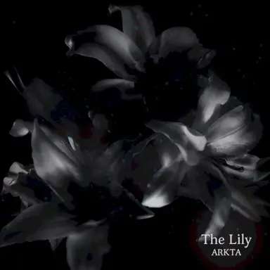 The Lily