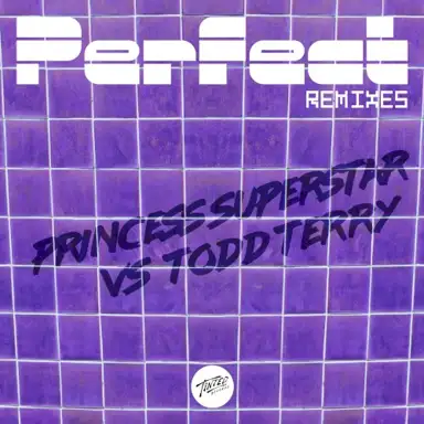 Perfect 2020 (Todd Terry remix)