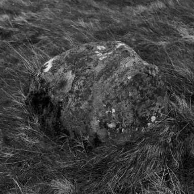 Stone