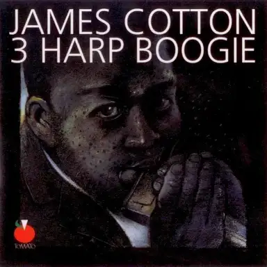 3 Harp Boogie