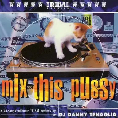 Mix This Pussy