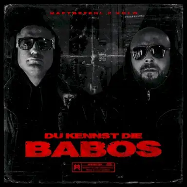 DU KENNST DIE BABOS