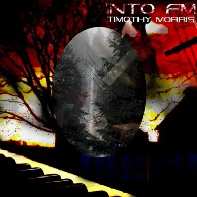 Into FM
