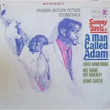 A Man Called Adam