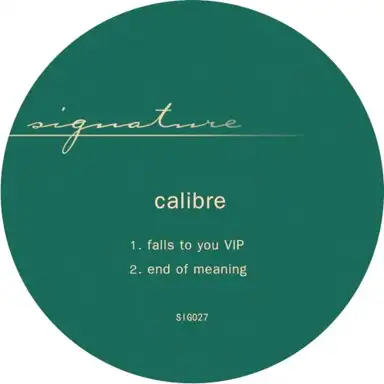 Falls to You VIP / End of Meaning