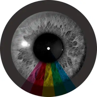 Hyperfocus