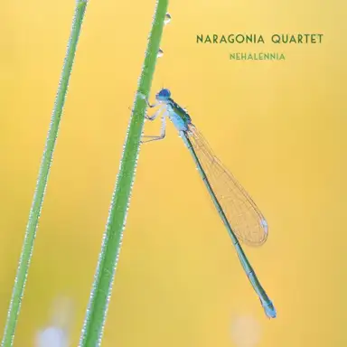 Nehalennia