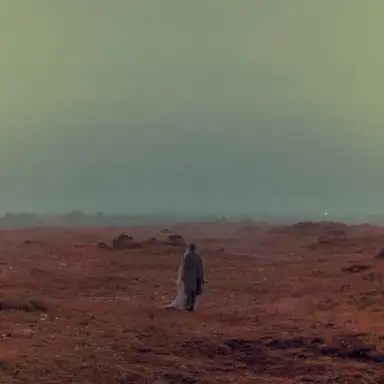 Fallen Paradise