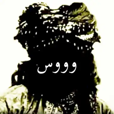وووس
