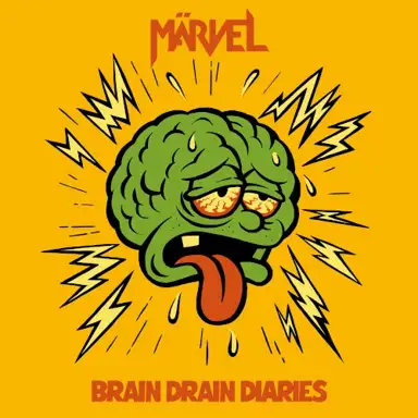 Brain Drain Diaries
