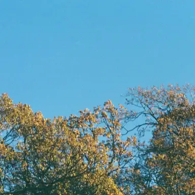 Romanticising