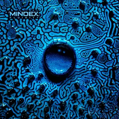 Fluidity